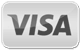 Visa payment icon